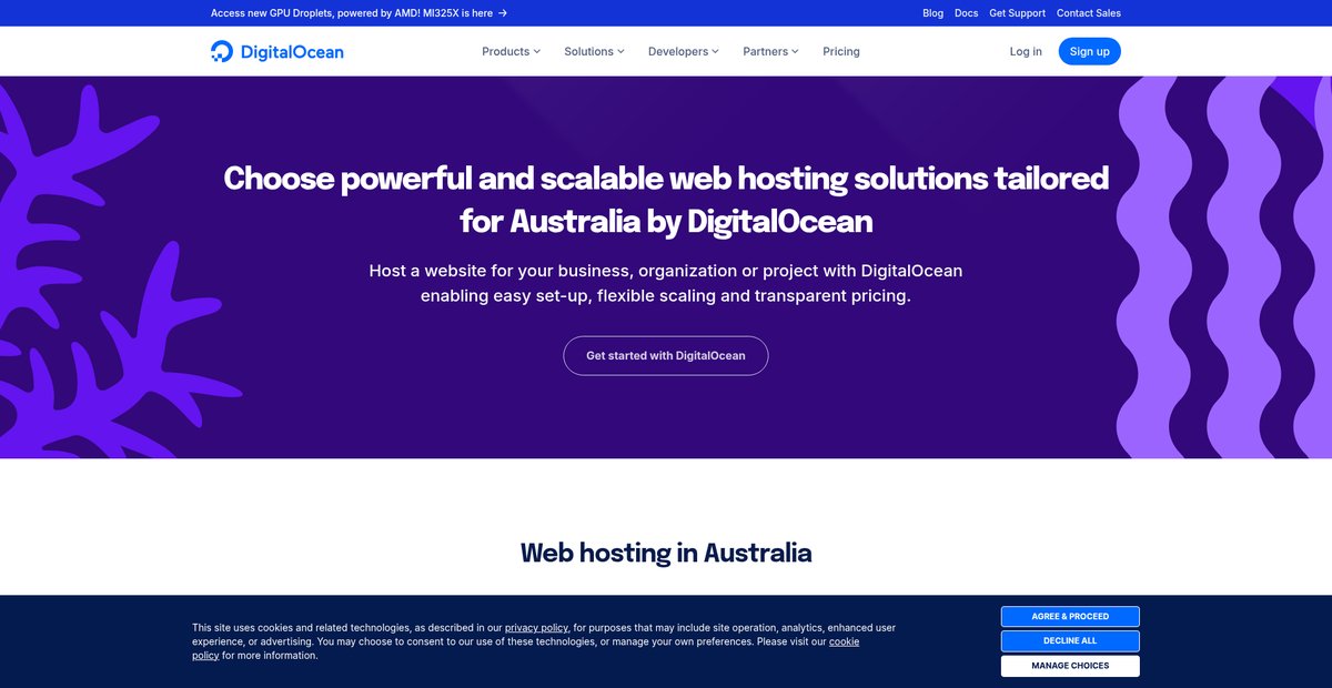 Web hosting in Australia Screenshot