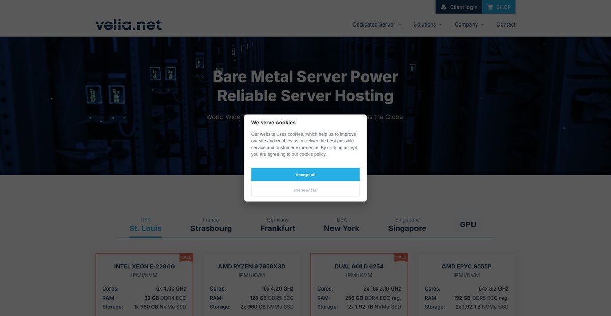 Bare Metal Server | Hosting Solutions Screenshot