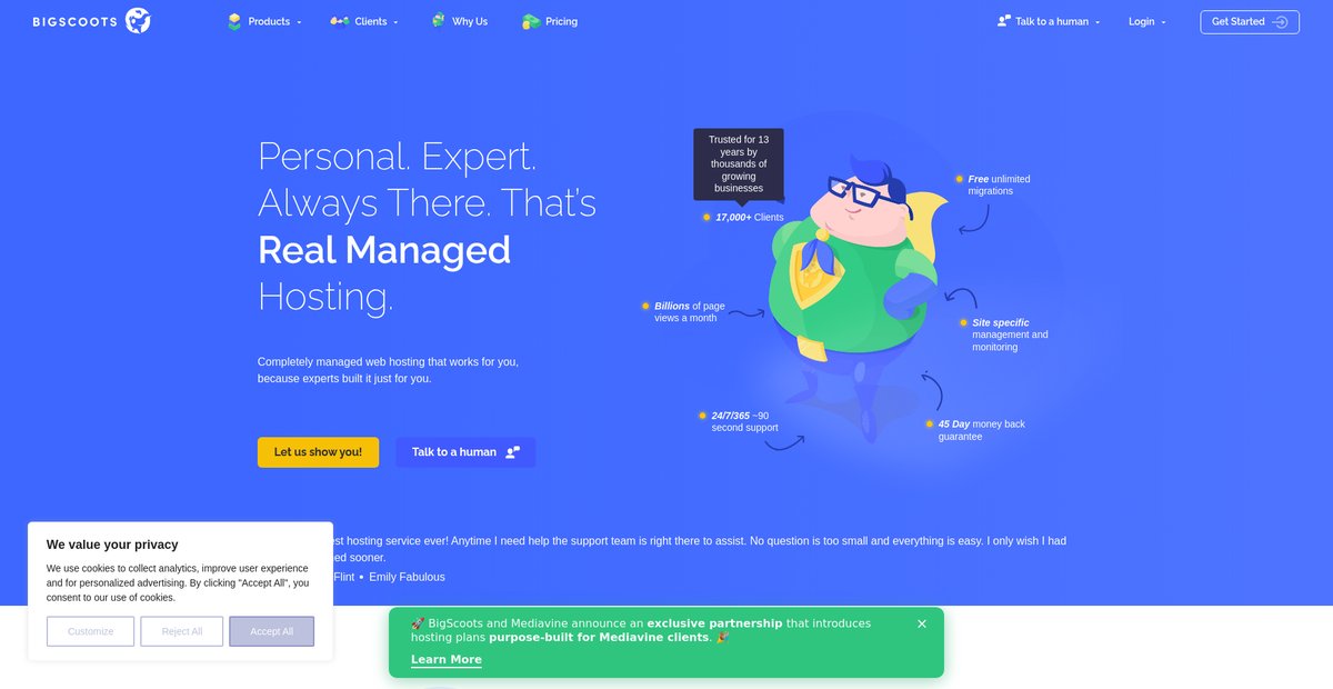 Premium Fully Managed WordPress Hosting Screenshot
