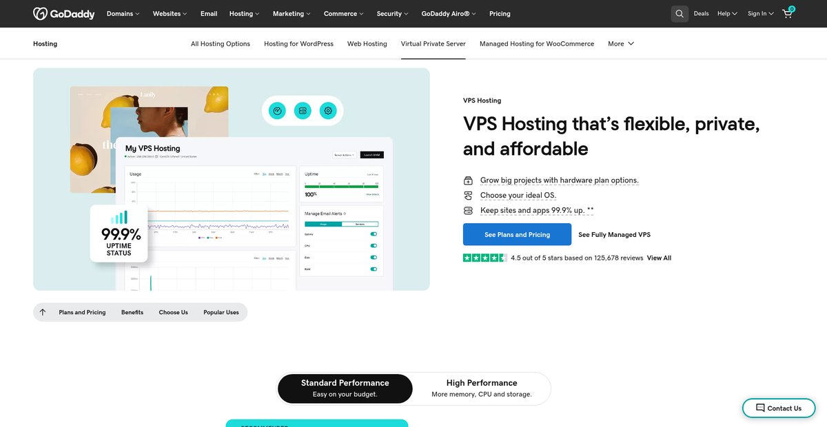 VPS Hosting | A Managed Virtual Server Solution for Pros Screenshot