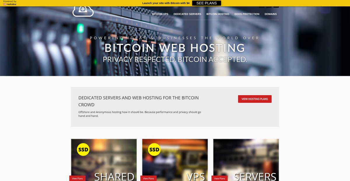 Bitcoin Hosting: Dedicated Servers, DDoS Protection & Bitcoin VPS Screenshot