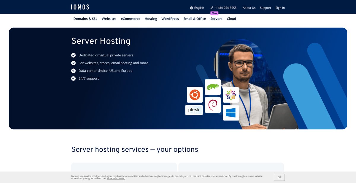Server Hosting in the US » From $2/Month | IONOS Screenshot