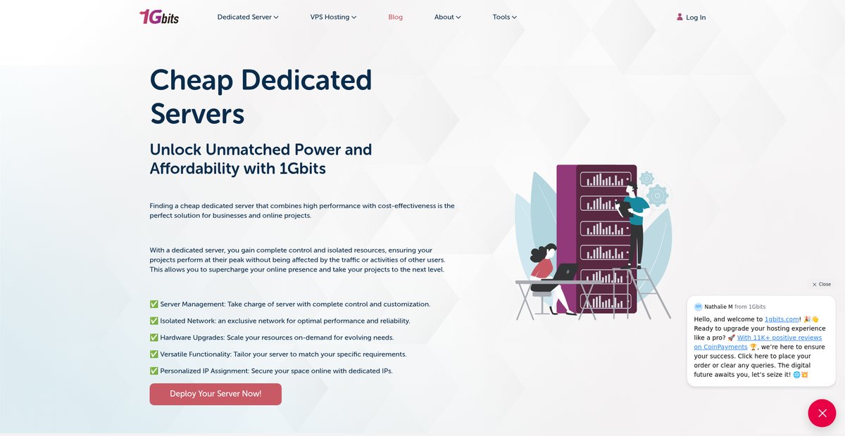 🚀 Cheap Dedicated Servers for Peak Performance |1GBits Screenshot