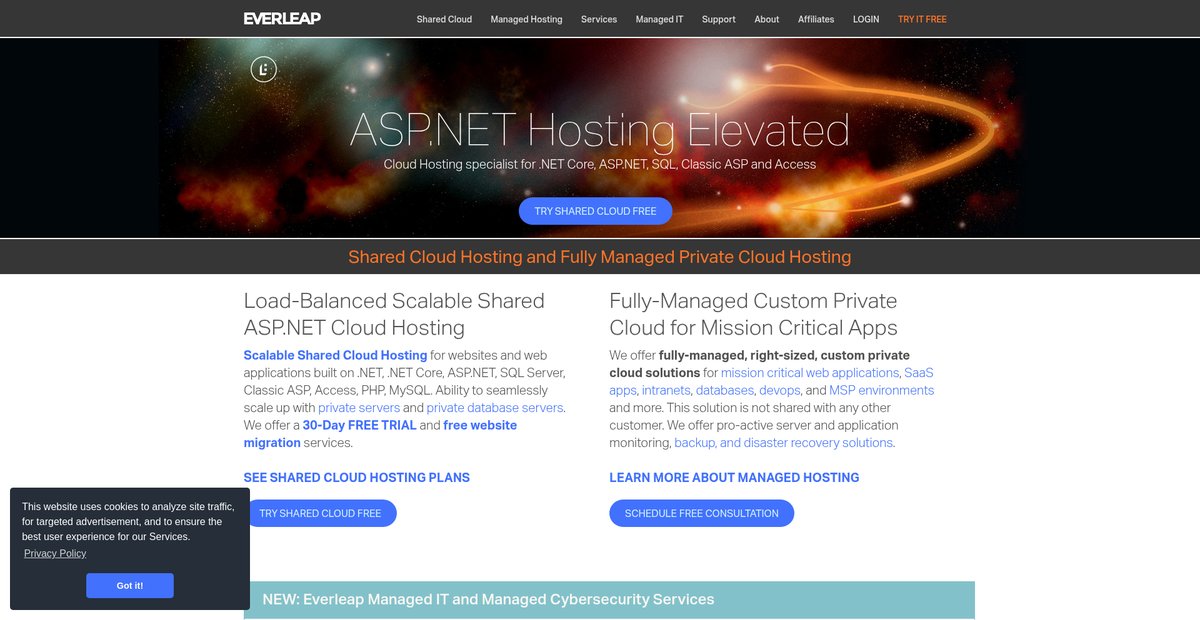 ASP.NET Core Hosting, Managed Hosting, IT & Cybersecurity for SMBs Screenshot