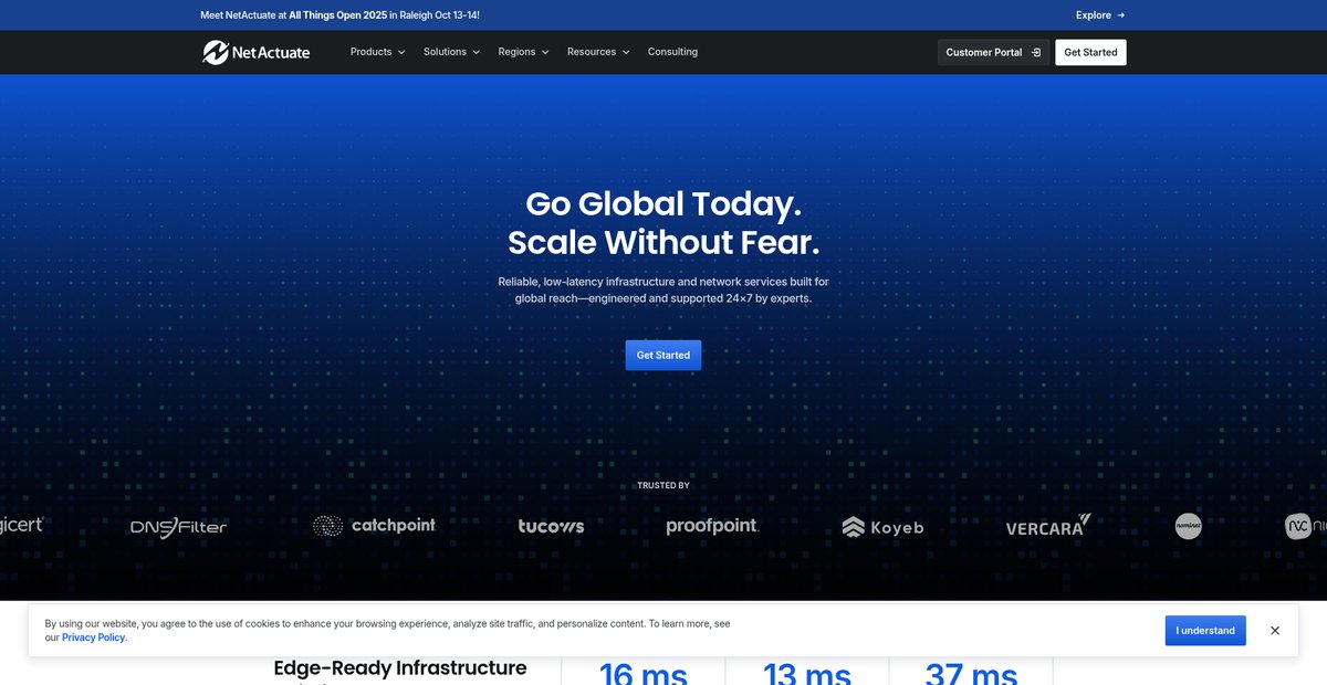 Home - NetActuate Screenshot