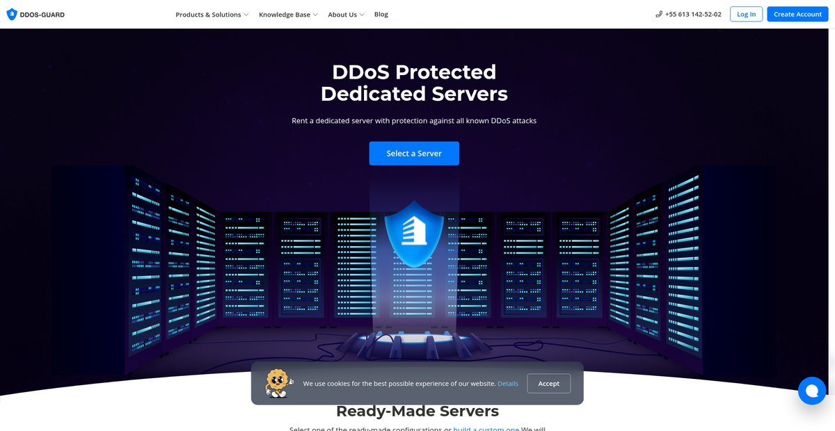 Dedicated Servers with DDoS Protection | DDoS-Guard Screenshot