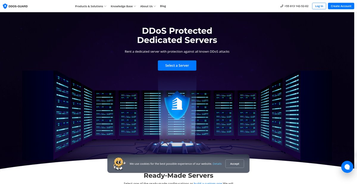 Dedicated Servers with DDoS Protection Screenshot