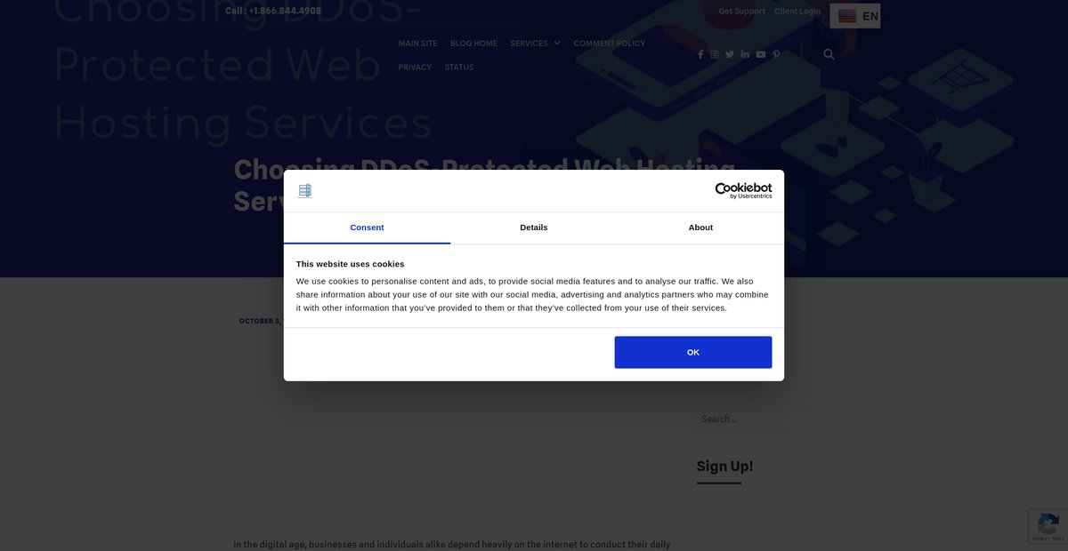 Choosing DDoS-Protected Web Hosting Services Screenshot