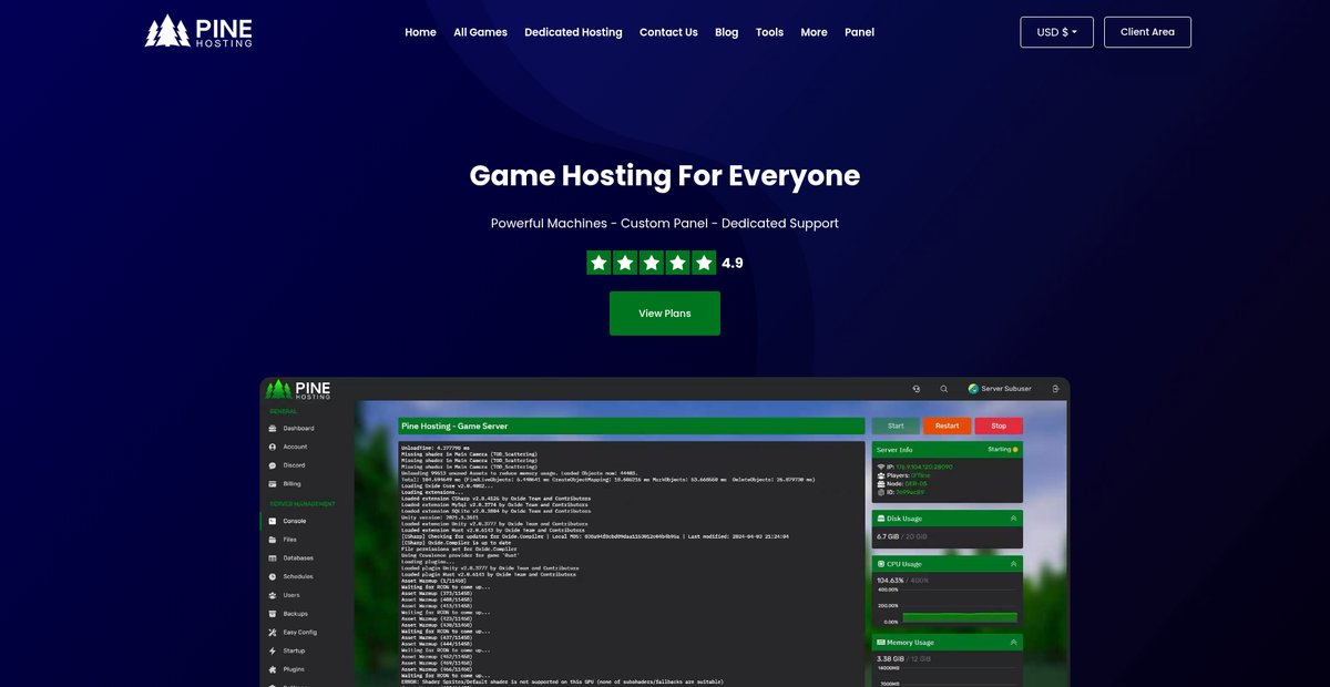 Pine Hosting: Reliable Server Hosting and Rental Services Screenshot