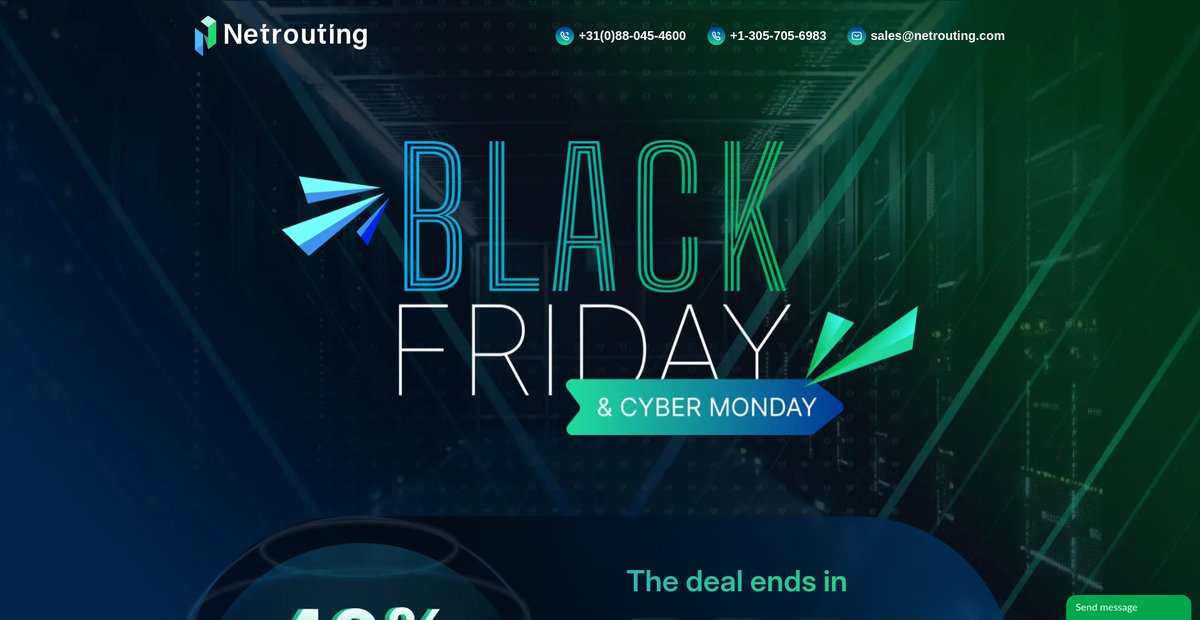Black Friday Sale: Up to 40% Off at Netrouting! Screenshot