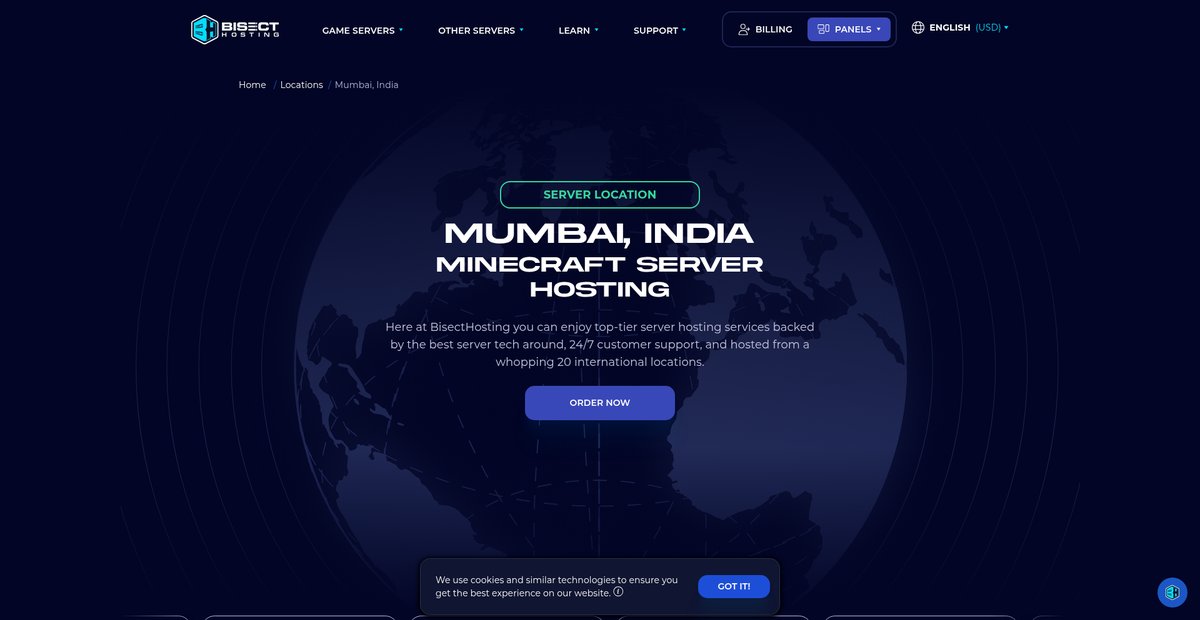 Mumbai, India Minecraft Server Hosting - BisectHosting Screenshot