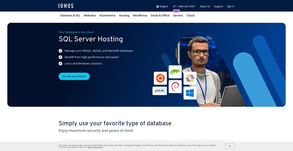 SQL Server Hosting for MSSQL, MySQL and MariaDB Screenshot