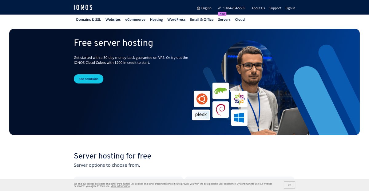 Free Server Hosting » Get started online now | IONOS Screenshot