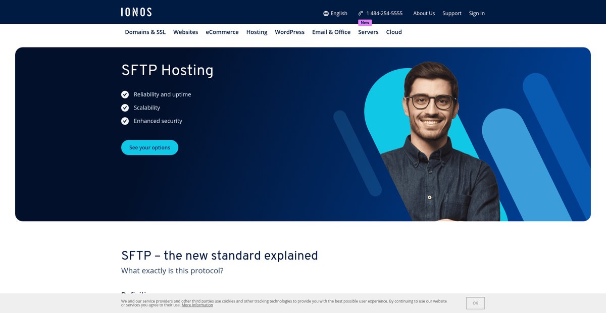 Secure FTP Hosting | Buy a cheap SFTP Server for your ... Screenshot
