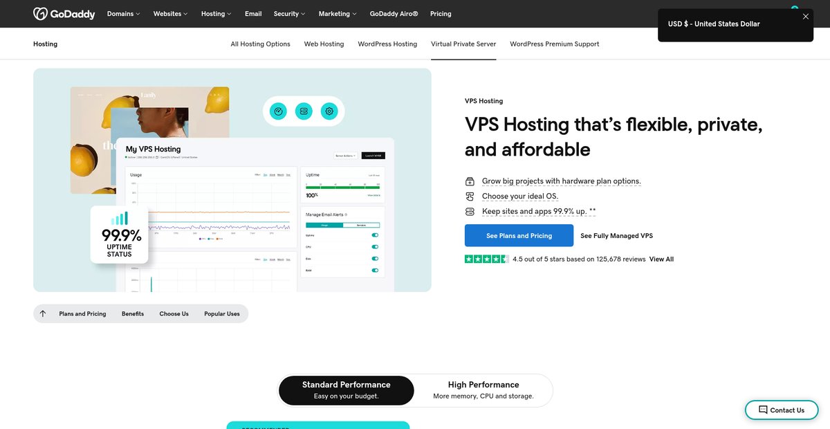VPS Hosting | A Managed Virtual Server Solution for Pros Screenshot