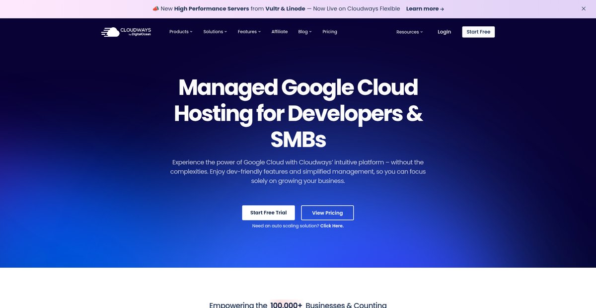 Managed Google Cloud Web Hosting for Best Performance ... Screenshot