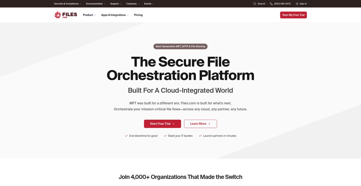 Secure FTP Hosting Service with Unlimited Users Screenshot