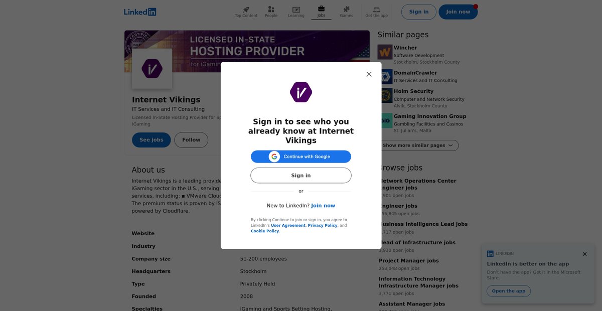 Internet Vikings | LinkedIn Screenshot