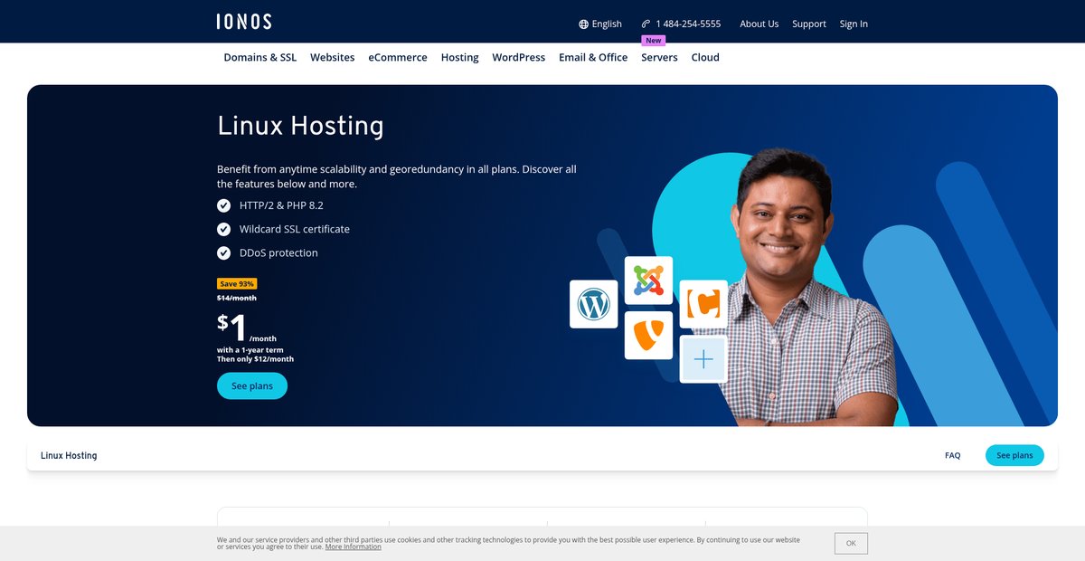 Linux Hosting » Affordable Packages with Plenty ... Screenshot