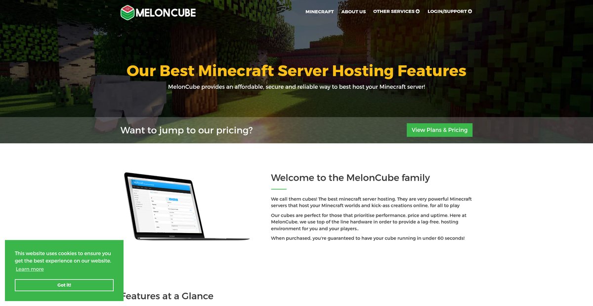 MelonCube Hosting | Minecraft Server Hosting at $3/GB | Best Minecraft Server Hosting Screenshot
