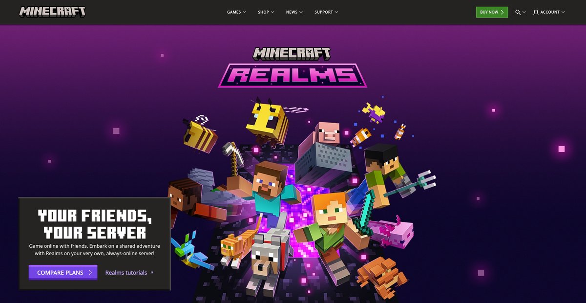 Microsoft Realms Servers: Bedrock & Java Screenshot