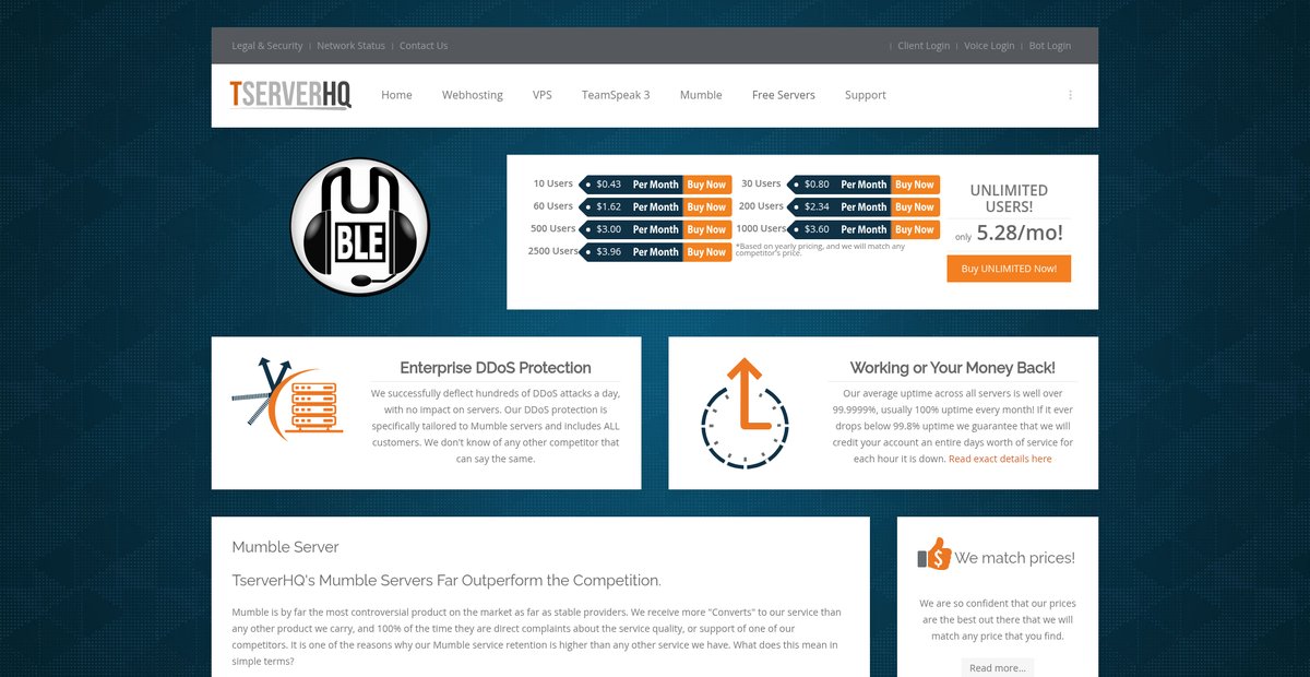 Mumble Server Hosting with No Limitations Screenshot