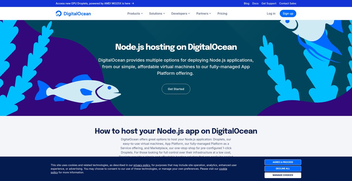 Node.js Hosting & Deployment Screenshot
