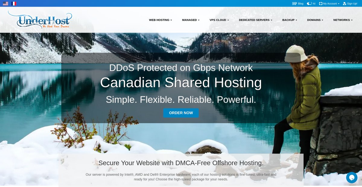 UnderHost - Secure Offshore Hosting Solutions Screenshot