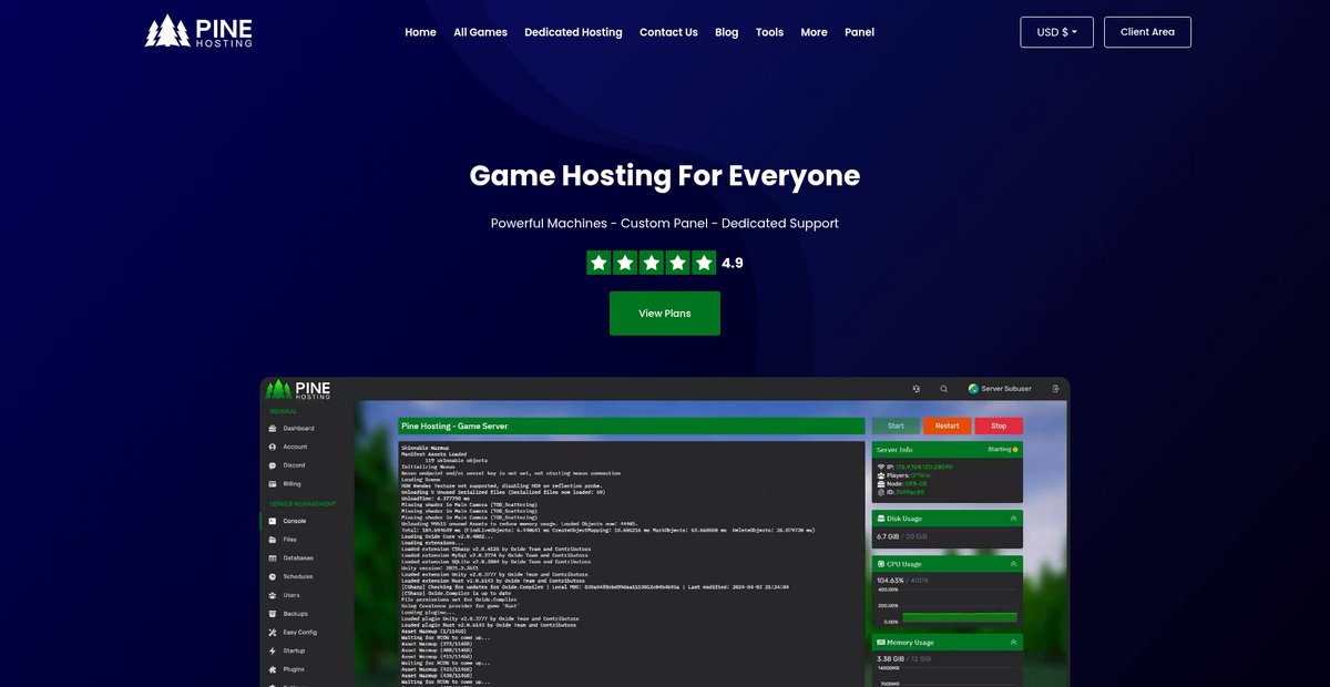 Pine Hosting: Reliable Server Hosting and Rental Services Screenshot