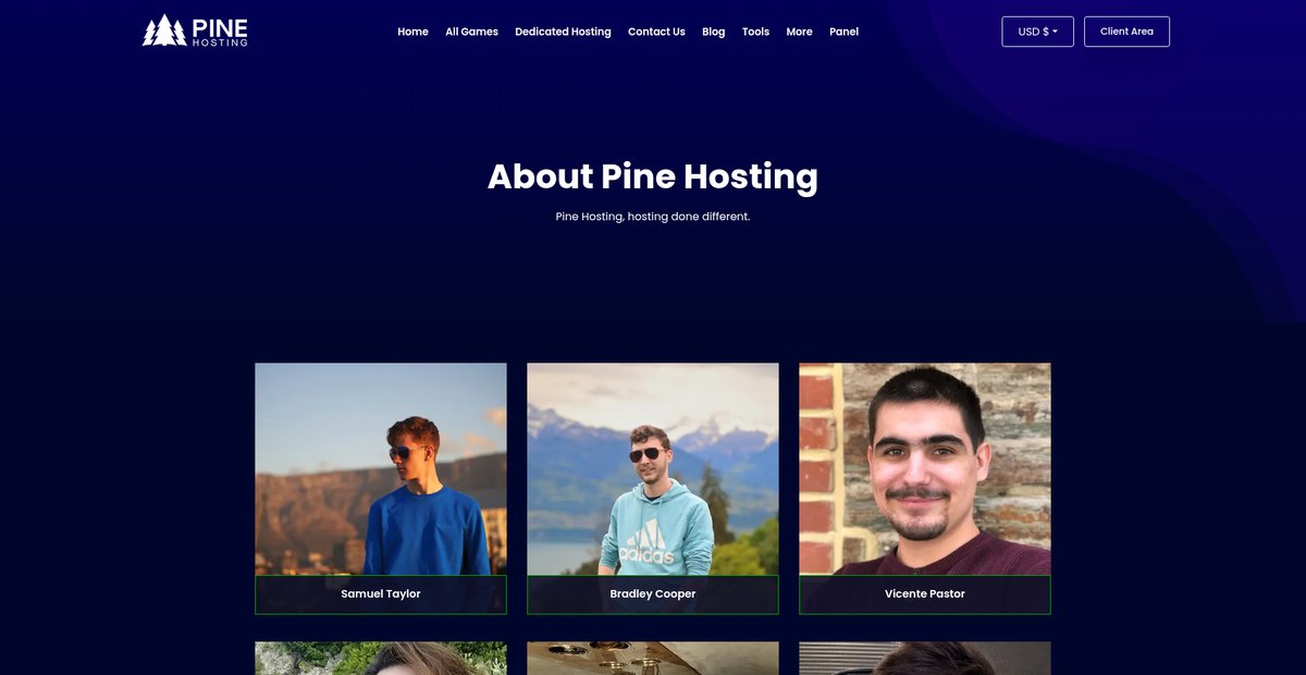 About Us - Your Trusted Hosting Partner | Pine Hosting Screenshot
