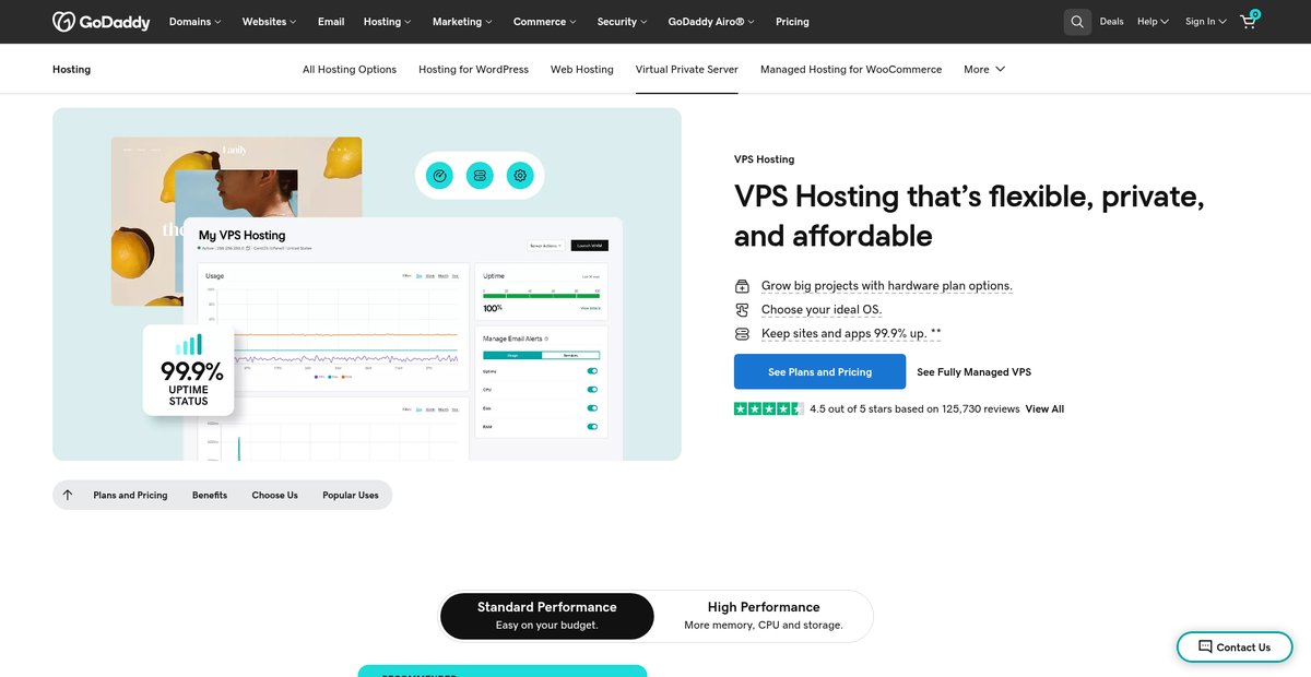 VPS Hosting | A Managed Virtual Server Solution for Pros Screenshot