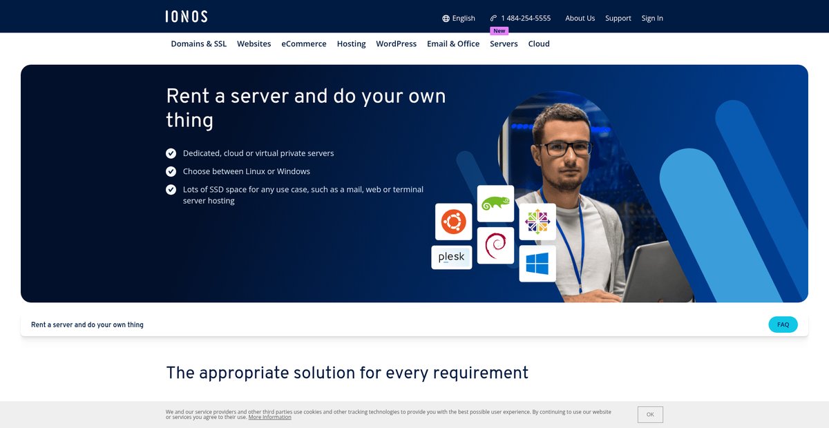 Rent a Server Online | Professional Hosting with lots of ... Screenshot