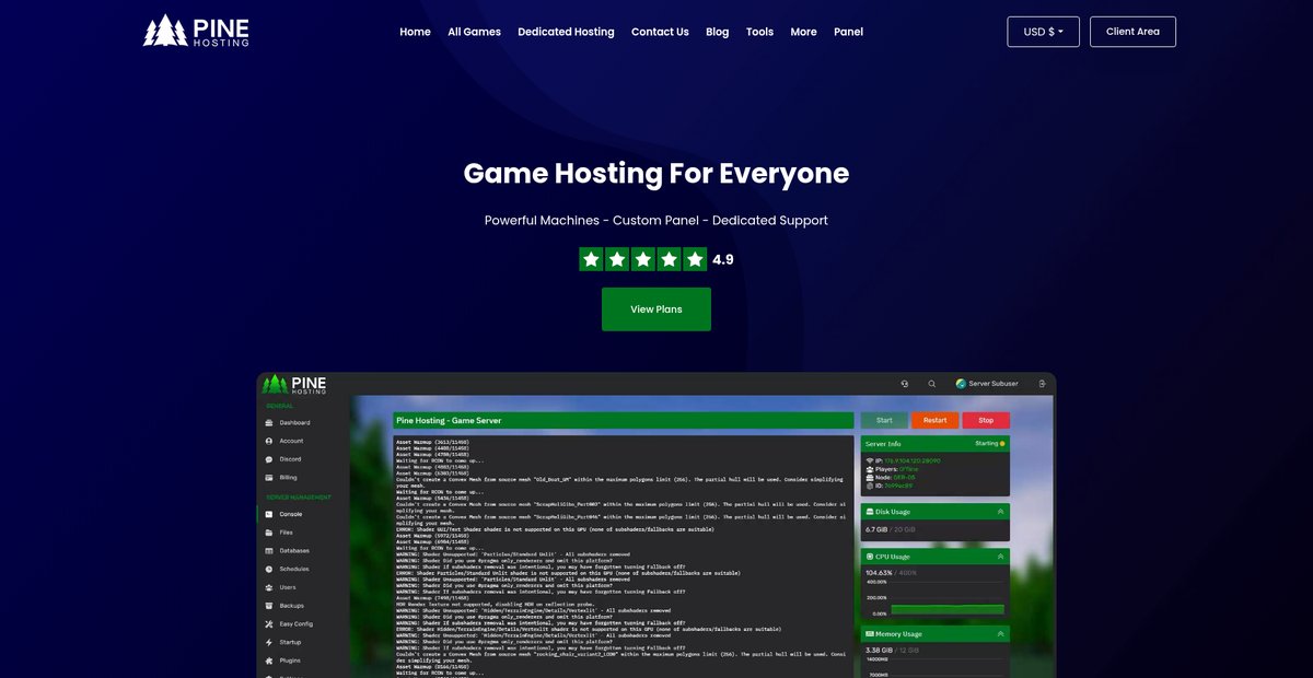Pine Hosting: Reliable Server Hosting and Rental Services Screenshot