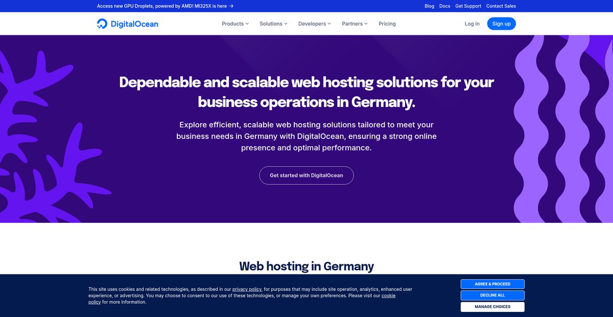 Web hosting in Germany Screenshot