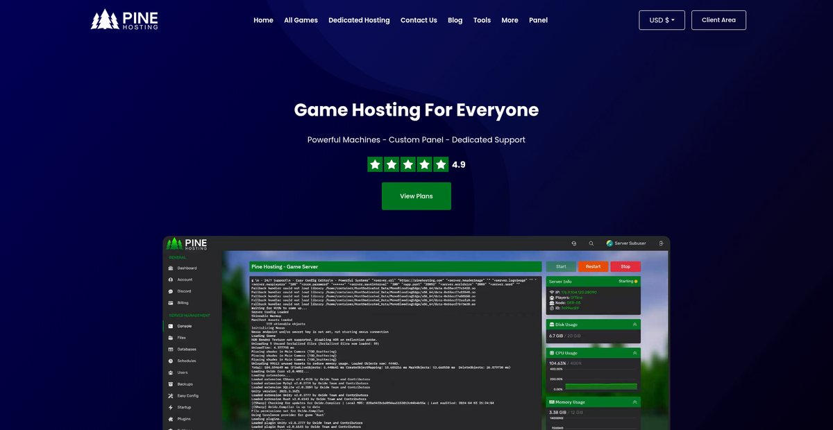 Pine Hosting: Reliable Server Hosting and Rental Services Screenshot
