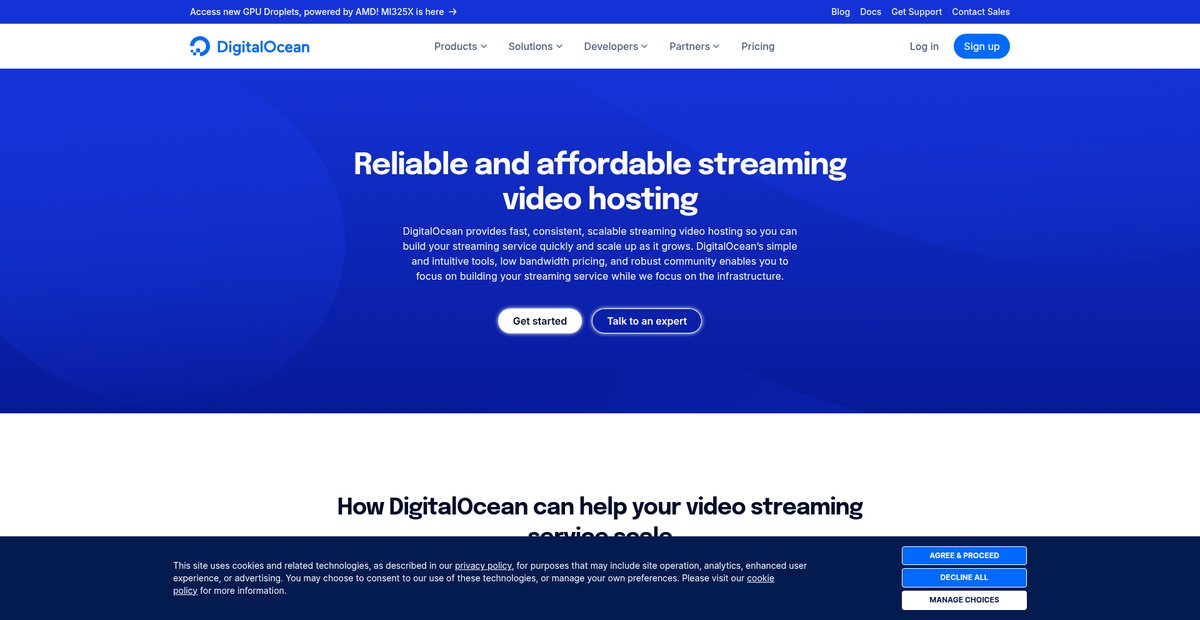 High-Performance Video Streaming Hosting Screenshot