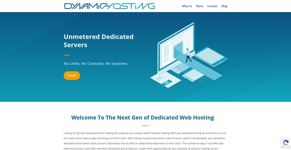 Dynamic Hosting - Unmetered Dedicated Servers Screenshot