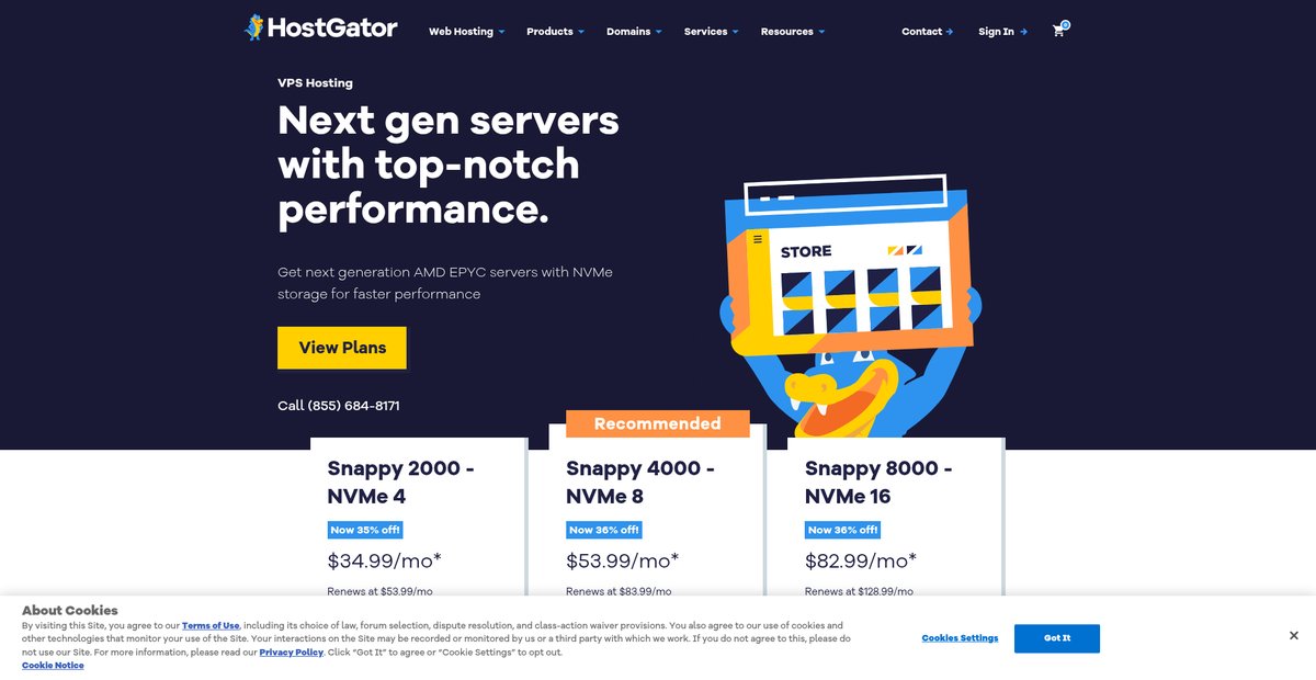 VPS Hosting - VPS with SDD Storage Screenshot