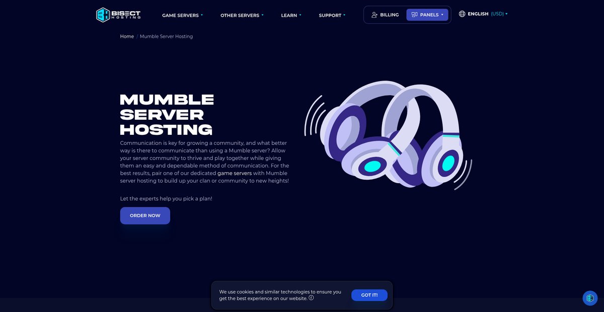 Mumble Live Voice Chat Server Hosting Screenshot