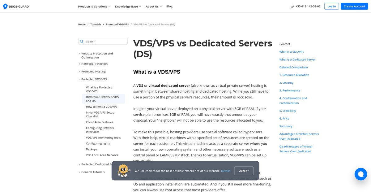 VDS/VPS vs Dedicated Servers | DDoS-Guard Instructions Screenshot