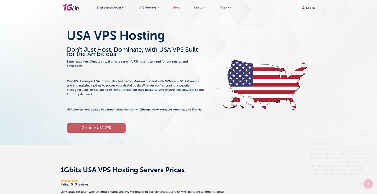 Buy Reliable USA VPS Hosting | 99.95% Uptime [1Gbits] Screenshot