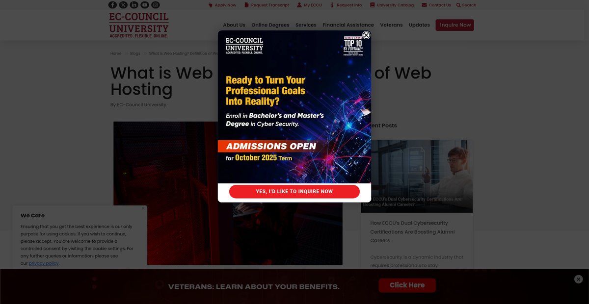 What Is Web Hosting? Complete Guide to Website Hosting Screenshot