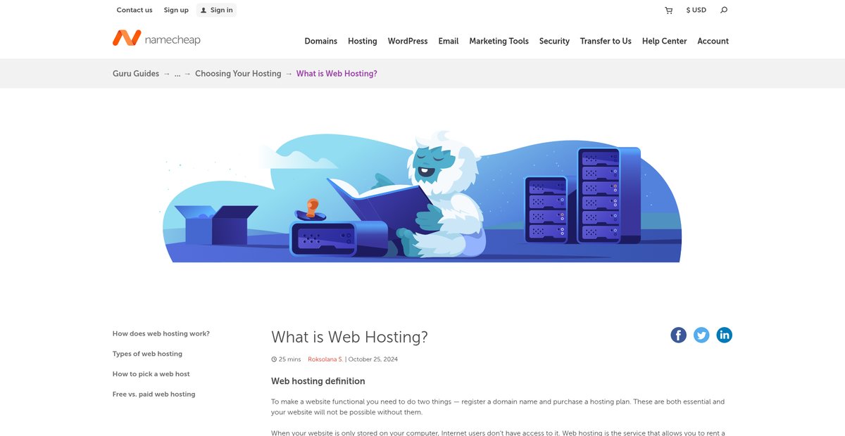 What is Web Hosting | A beginner guide by Namecheap Screenshot