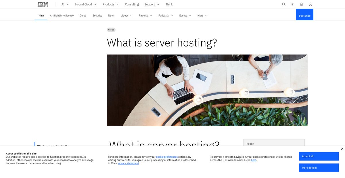 What Is Server Hosting? | IBM Screenshot