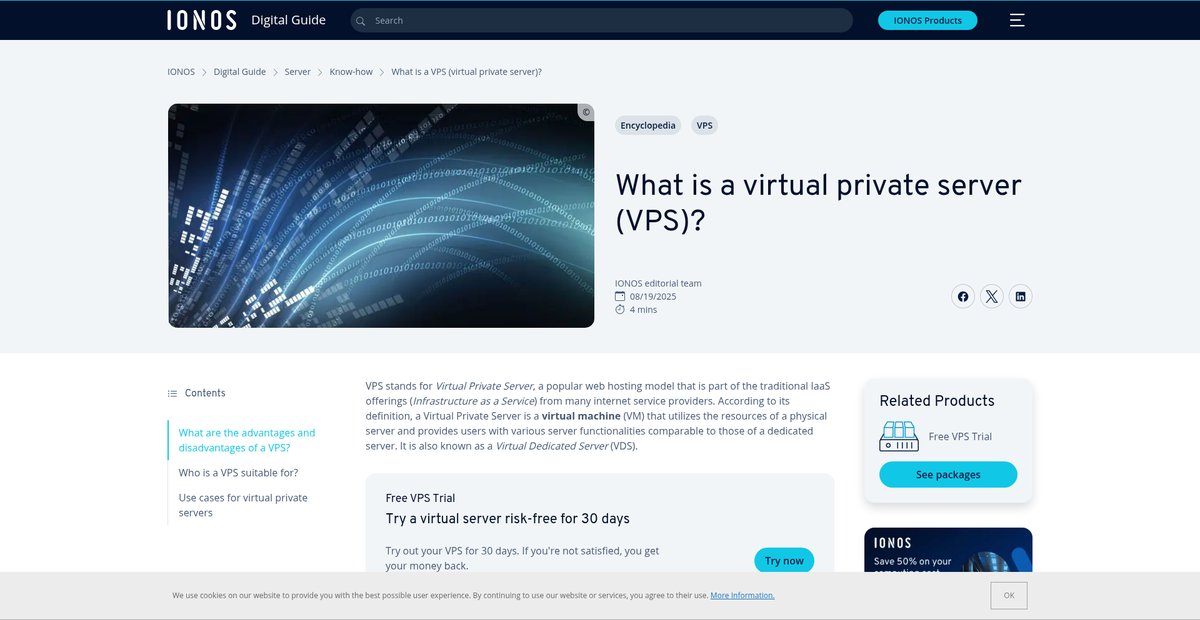 What is a virtual private server (VPS)? Screenshot