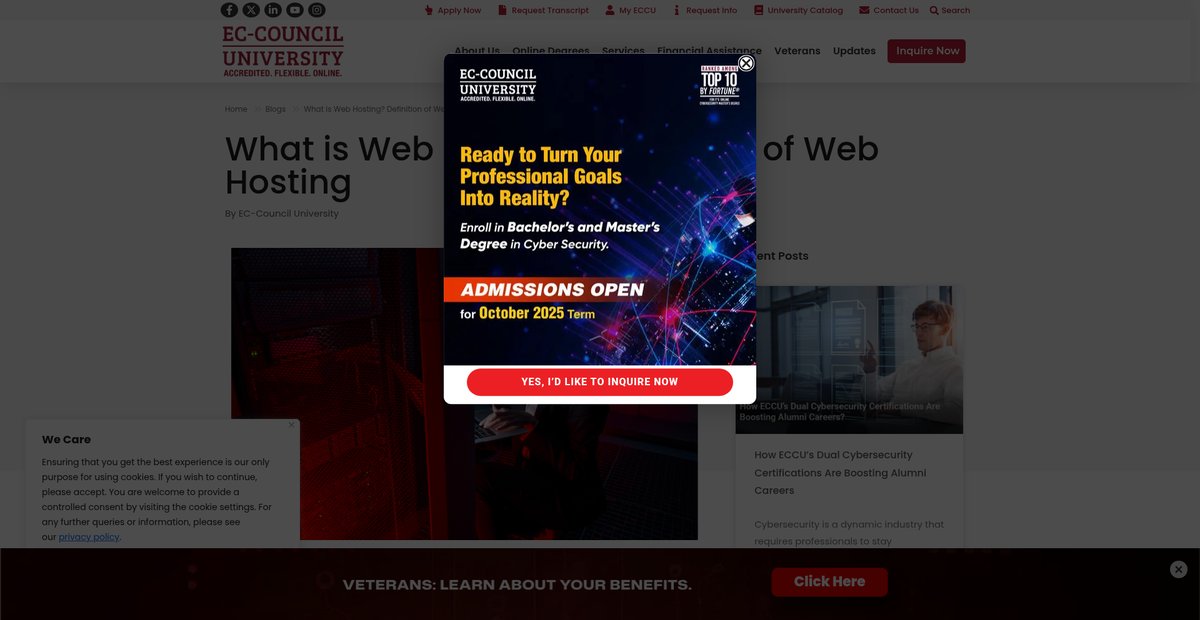What Is Web Hosting? Complete Guide to Website Hosting Screenshot